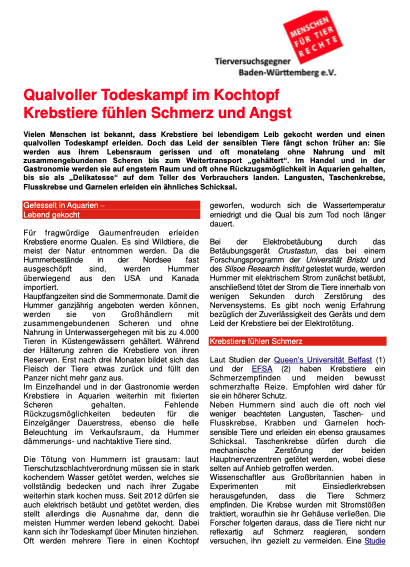 Qualvoller Todeskampf im Kochtopf: Krebstiere fühlen Schmerz und Angst